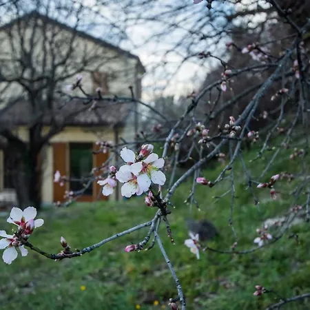 Conero Farm stay Ancona