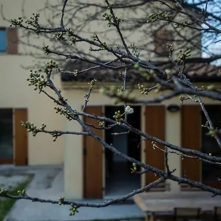 Conero Farm stay